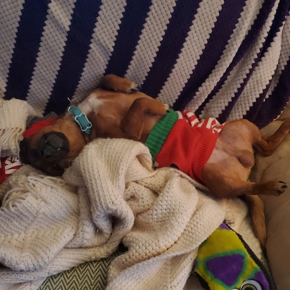 Meet your Posher, Kimberly - Picture 7 of 7